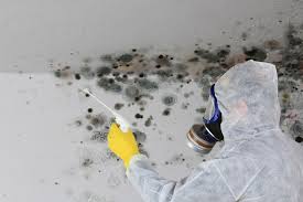 Best HVAC Mold Inspection and Cleaning  in Lake Carmel, NY